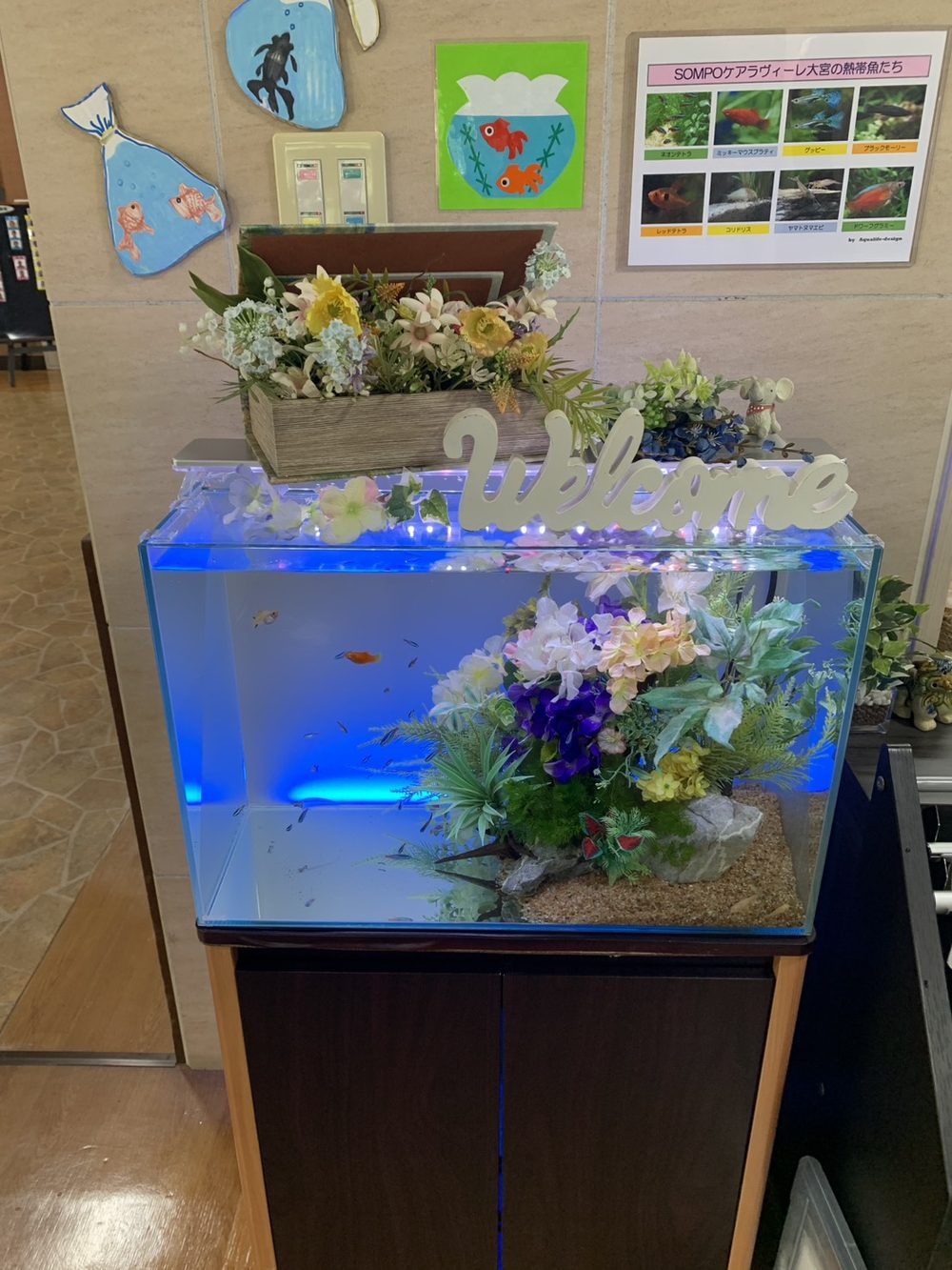 水槽の横に掲示した施設オリジナルの熱帯魚図鑑ポスター。入居者が魚の名前を楽しめる工夫
