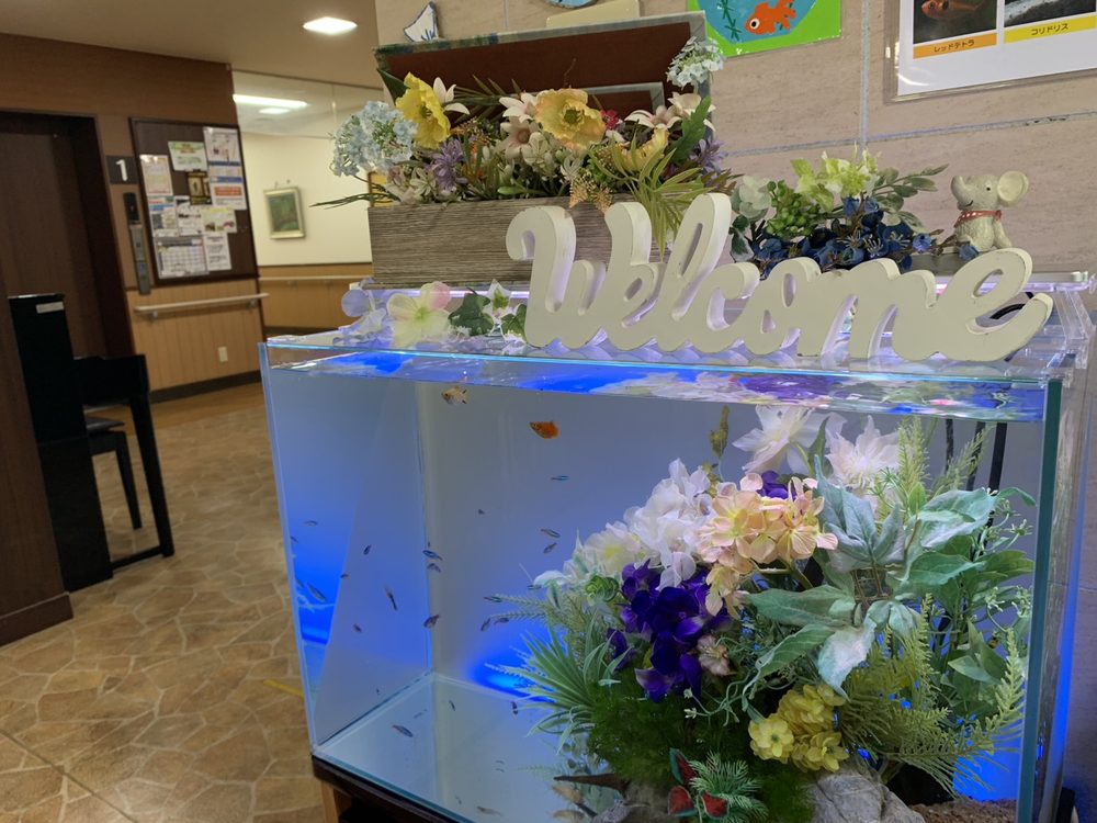 介護施設エントランスに設置した60cm淡水水槽。Welcomeサインと春の花で装飾されたレンタルアクアリウム