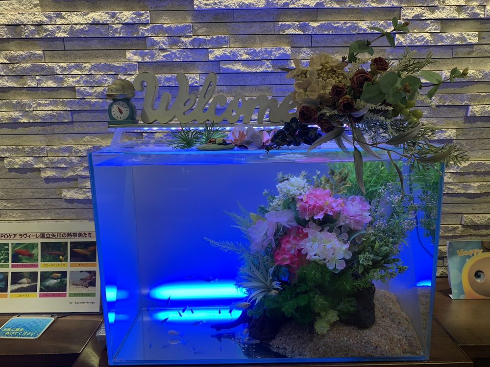 青いLEDで照らされた60cm淡水水槽のアップ。季節の花とWelcomeサインで装飾